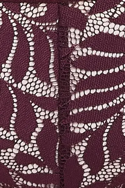 clovia-picture-low-waist-bikini-panty-in-wine-colour-with-powernet-panels-lace-269644.webp